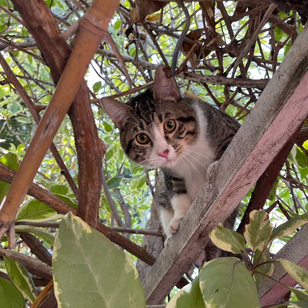 Meet your Posher, Damien